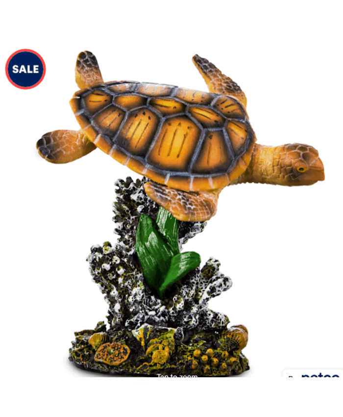 Sea Turtle and Coral Garden Aquarium Ornament, Small